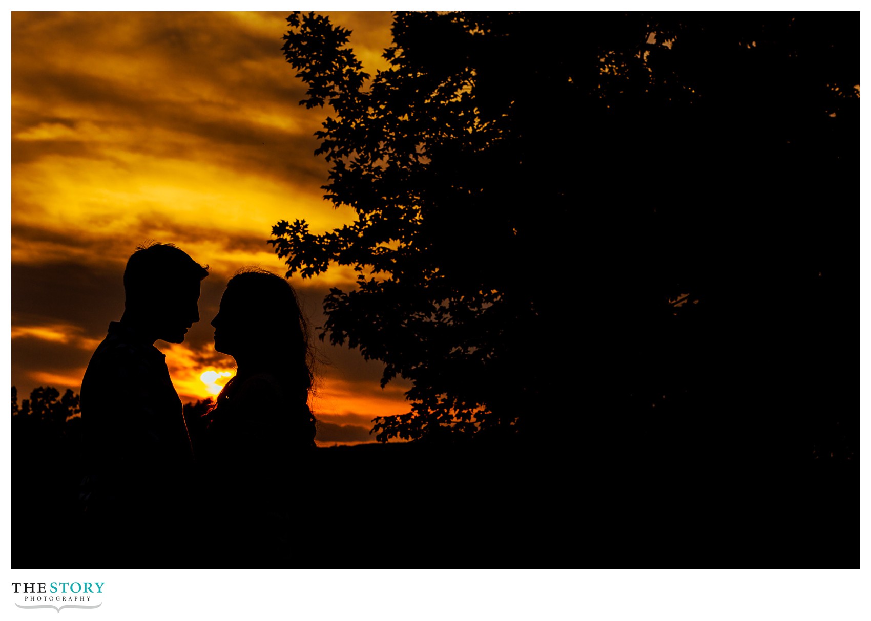 Sunset at Vanderbilt Mansion