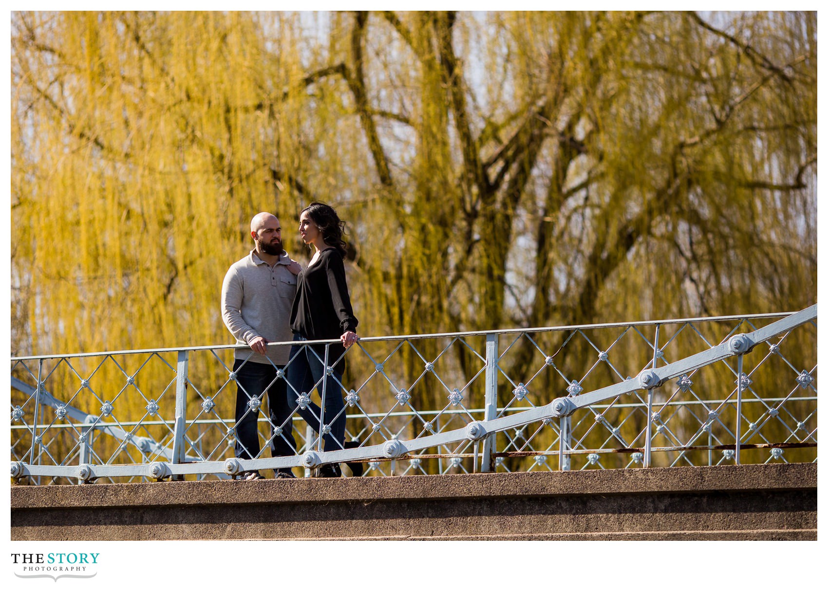 Boston Public Garden engagement photo