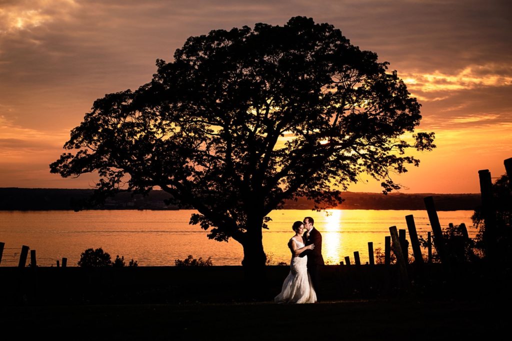 Sunset wedding photo in front of Ventosa Vineyards' iconic tree on Seneca Lake.