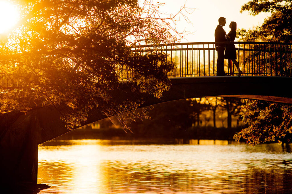 Charles River engagement photo